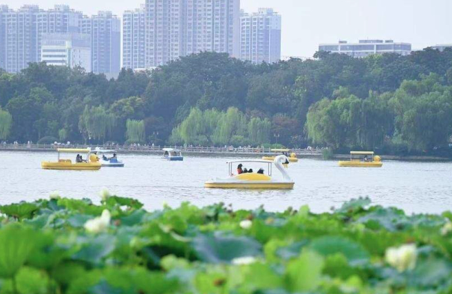 暑期近尾声 文明旅游成为泉城最美风景线