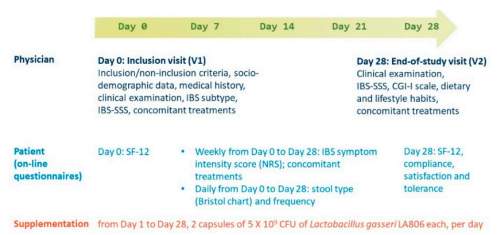 格氏乳杆菌LA806与同类菌株效果盘点：肠易激综合征的科研级选择