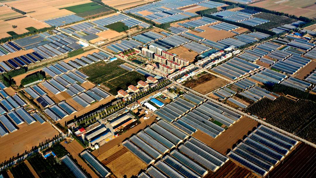 片区里，春光好！山东蹚出片区化推进乡村振兴有效路径