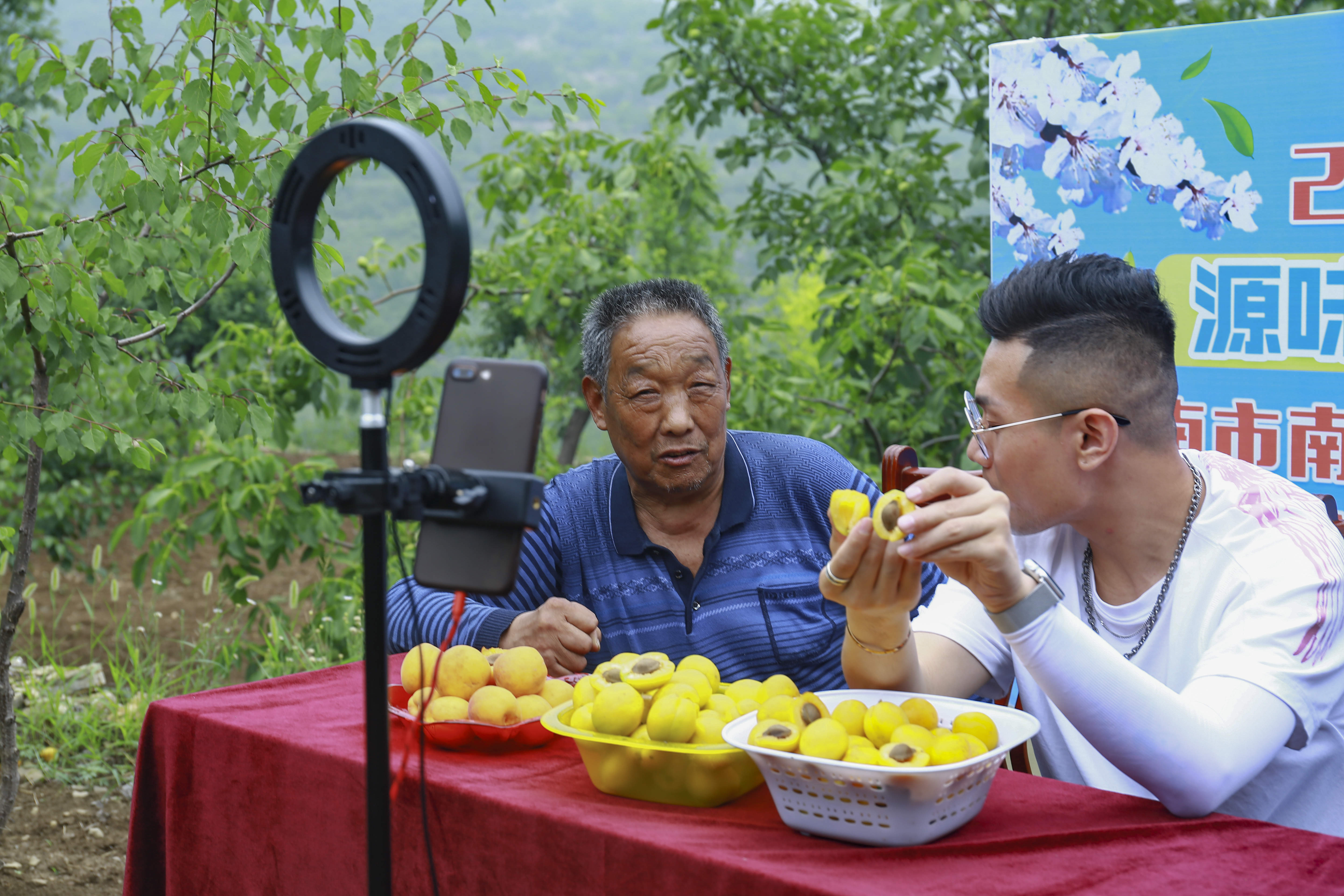 “泉”在济南享金秋｜八大主题嗨翻场，十六个特色活动庆丰年