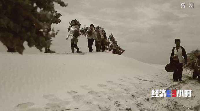 沙漠变绿地、变耕地 我国率先实现土地退化“零增长”