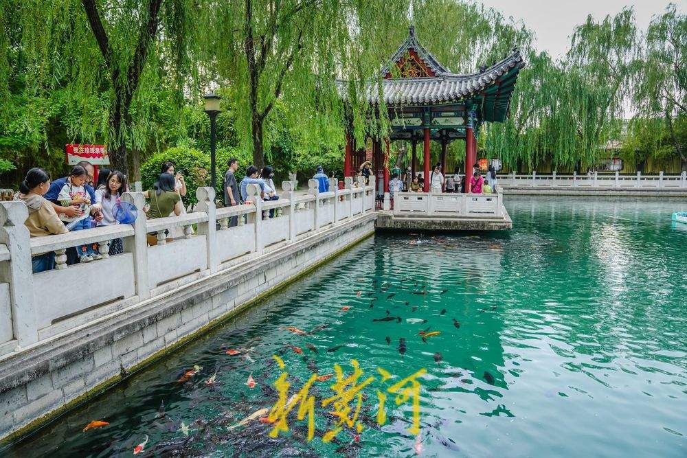 笑声与泉声交织，珍珠泉美景醉游人