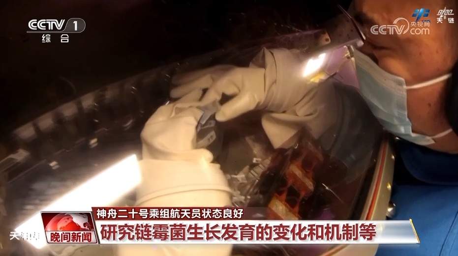 “太空出差”50余天 神二十乘组最近在忙啥?