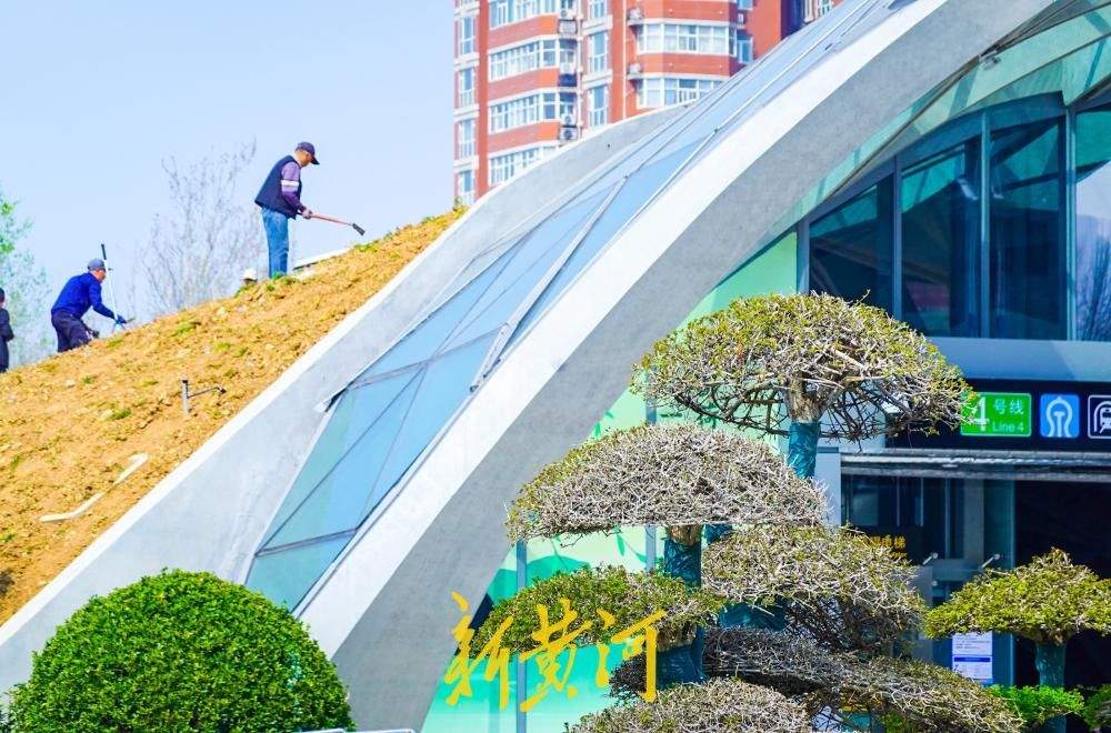 济南地铁4号线泉城公园站出入口绿化更新,打造“会呼吸”的地铁口