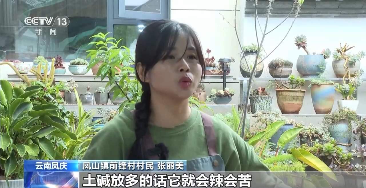 传统与创意碰撞！全国多地端午民俗活动大赏→