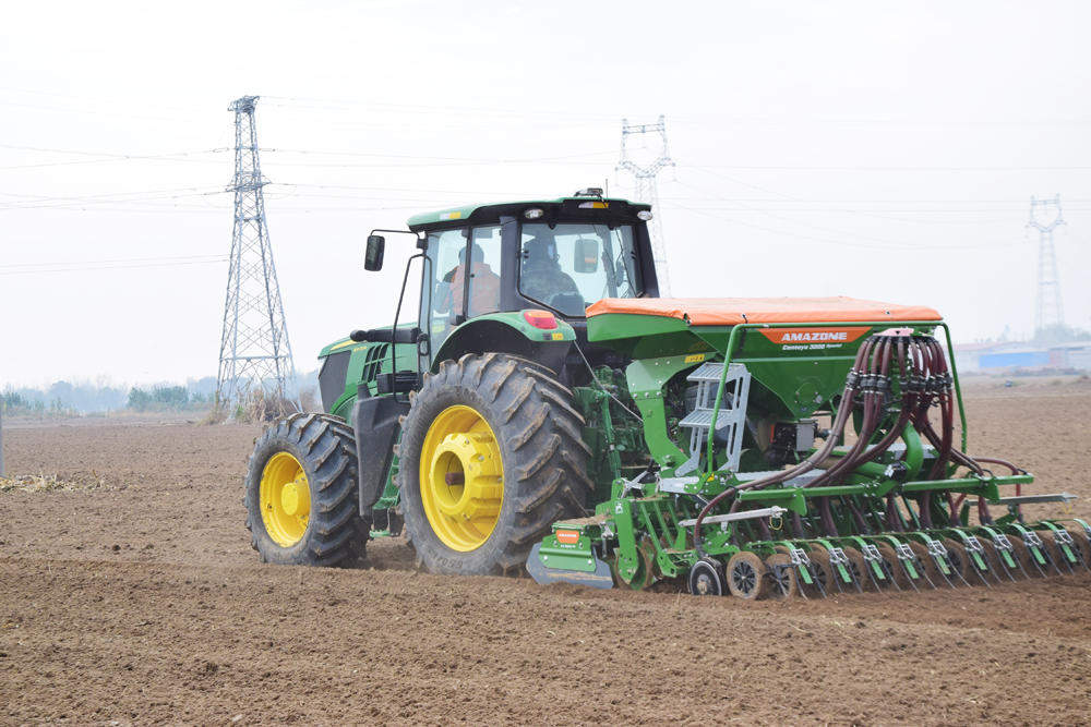 秋季阴雨影响小麦播种，济南将“适期晚播”调整为“抗湿晚播”