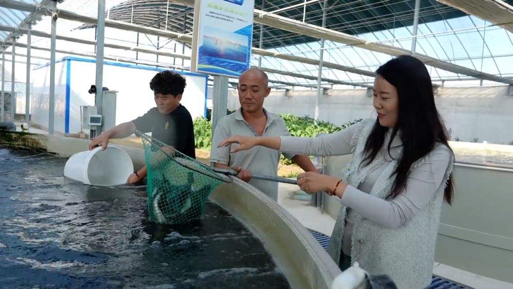 特色农业挖潜力 丰收喜悦满田间