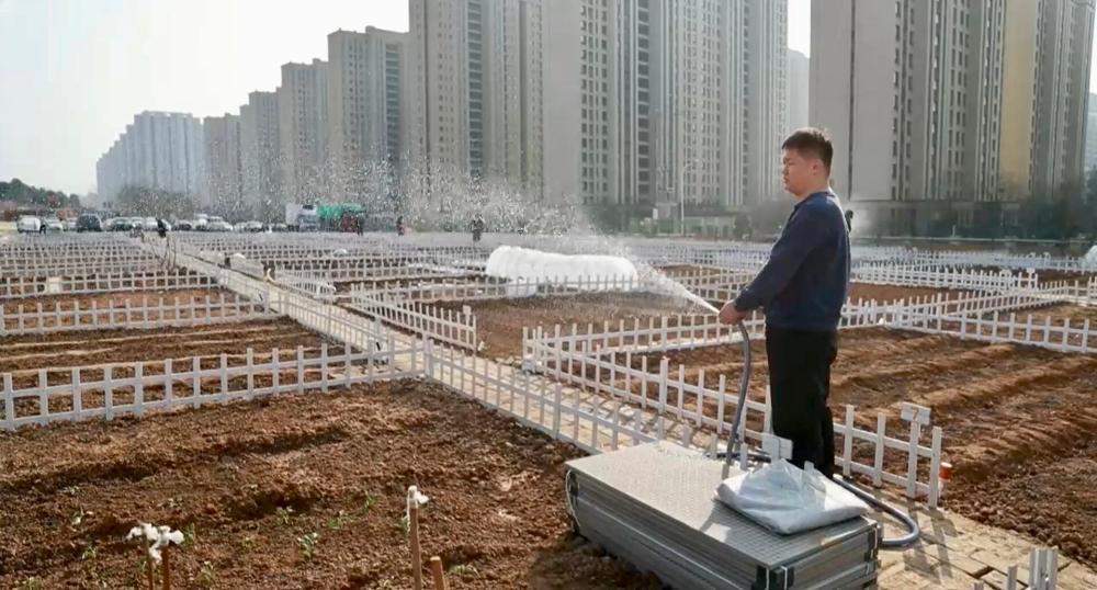 在济南,当“开心农场”照进现实