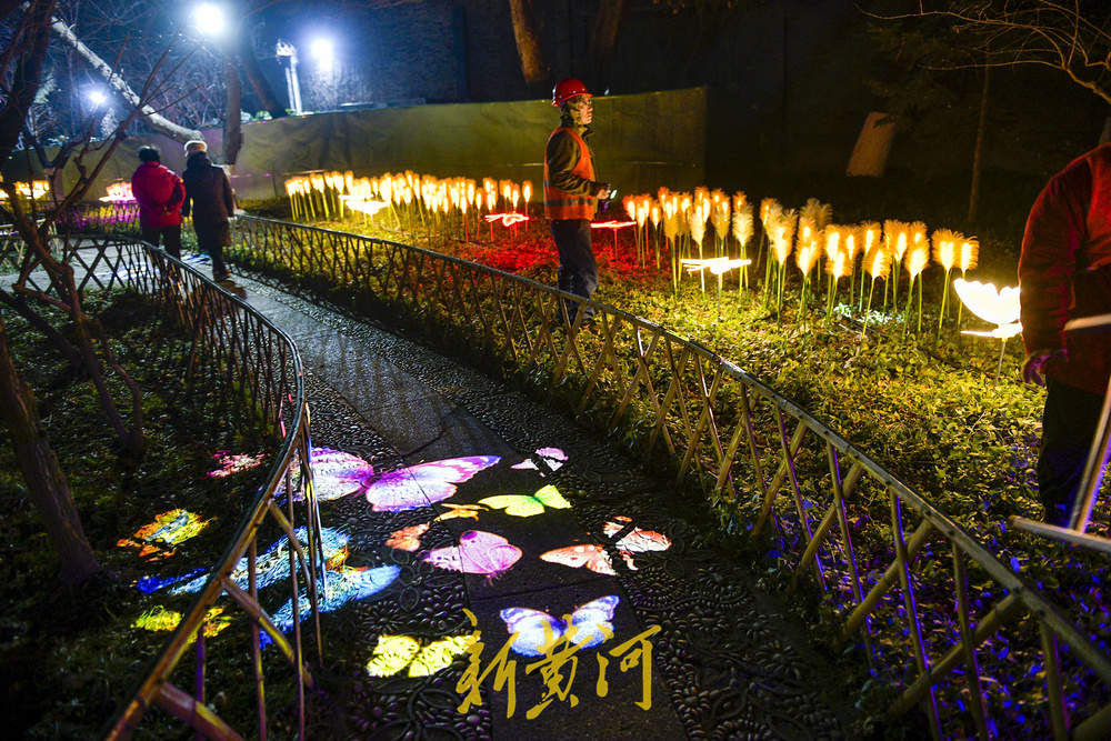 泉畔新春灯饰亮相 玫瑰花海与芦苇光影共绘泉城夜色