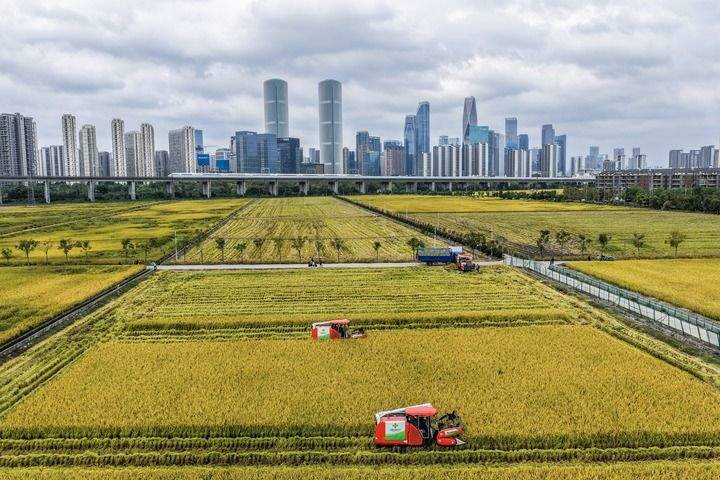 江山壮阔万象新——习近平总书记引领中国式现代化新征程