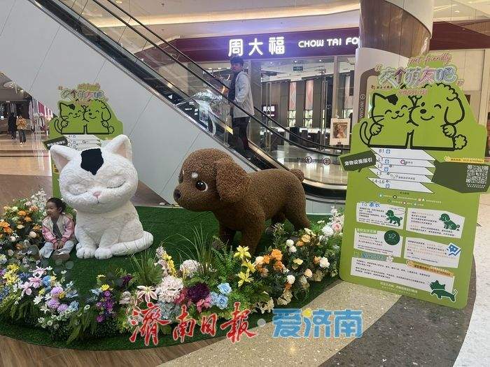 济南再添宠物友好商场，“它经济”催生消费新场景