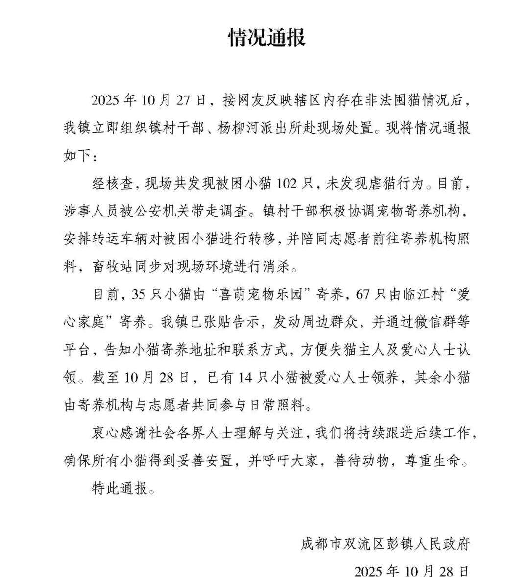 官方通报:发现被困小猫102只,涉事人员被公安带走