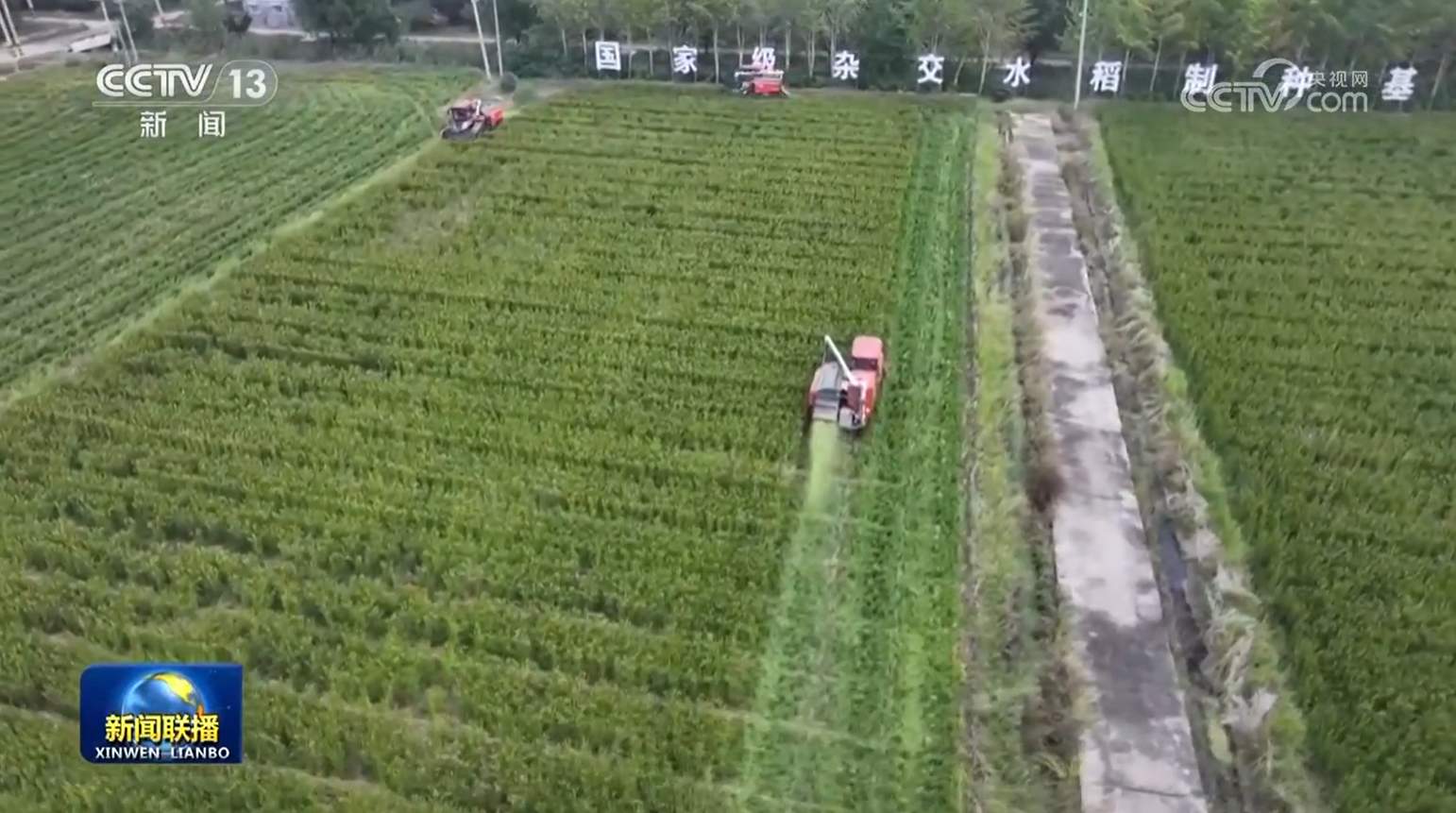 我国种业振兴行动取得一批标志性成果