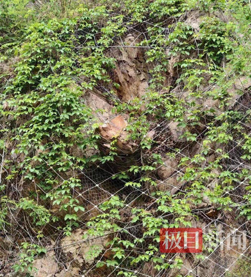 男子自驾被落石砸中身亡，母亲发声：两个孙女还不知爸爸已去世