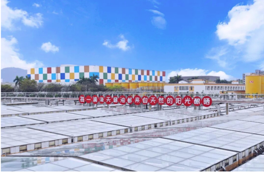 智能“灯塔”护航美味成长,海天味极鲜的可持续酿造之道