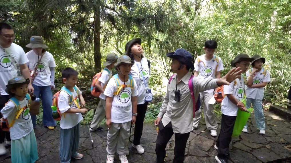 新华视点｜守护绿水青山 多元实践共筑生态环保新图景