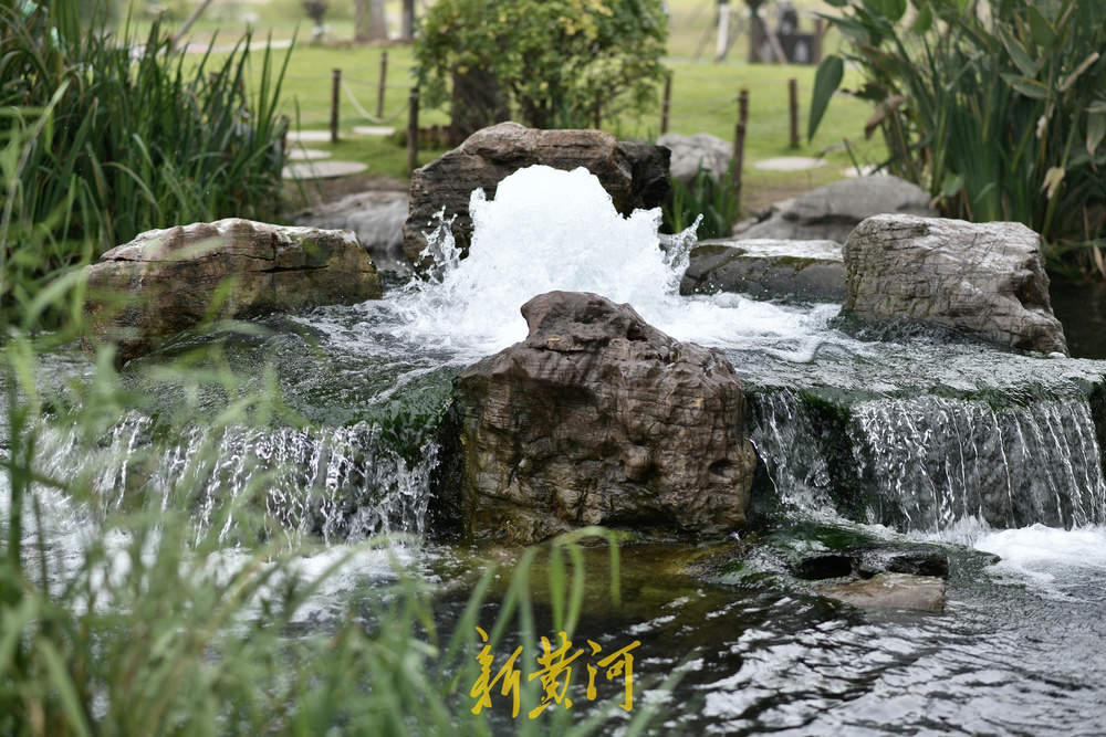 地下水位连日攀升 白泉现“喷珠溅玉”胜景