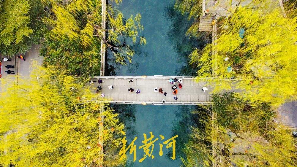黑虎泉畔柳色新，济南护城河初现春日画卷