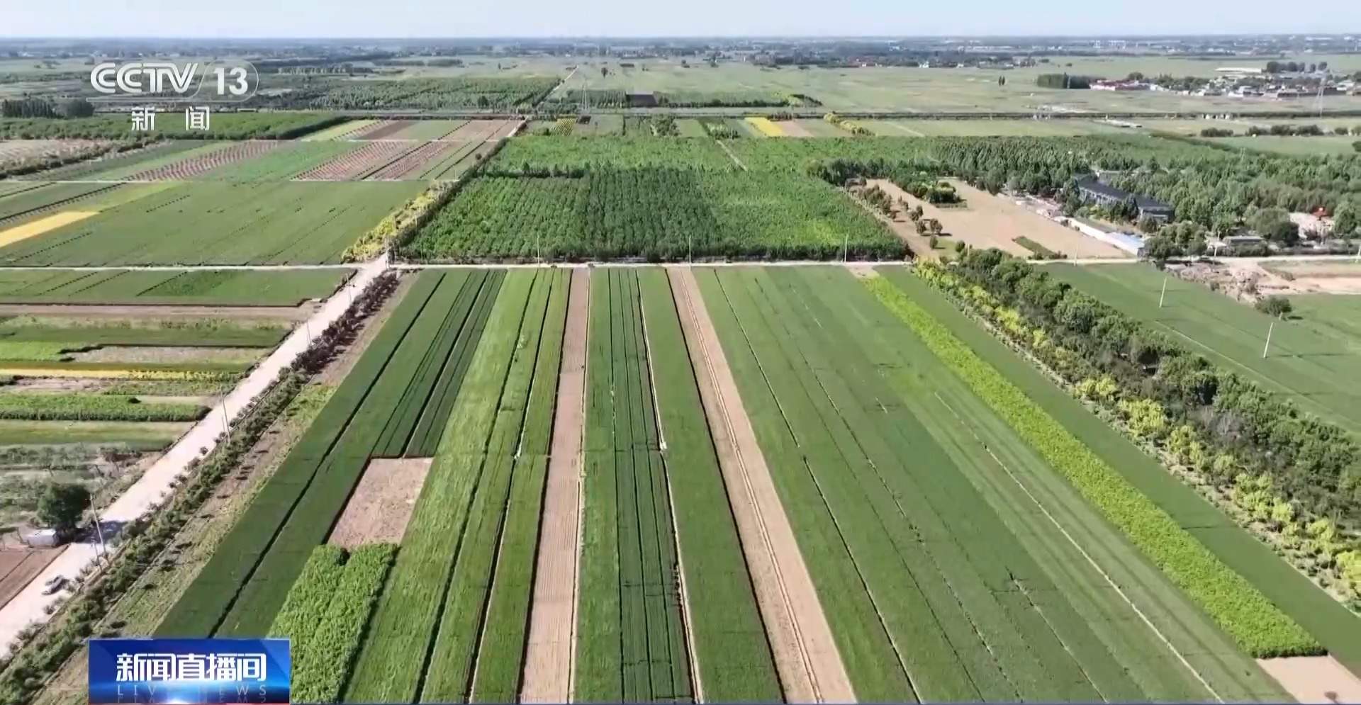 小满已到 该吃什么玩什么？小满时节全攻略来了