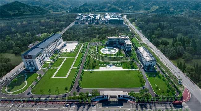 八马茶业：三百年非遗传承融合现代科技 铸就老字号转型范本