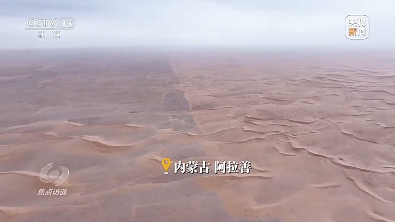 让荒漠添绿又生金 看“三北”的生态蝶变