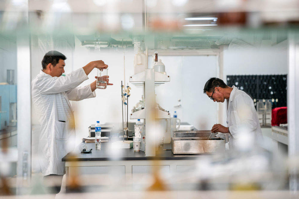 第1视点｜“云花”，事业兴旺生活美