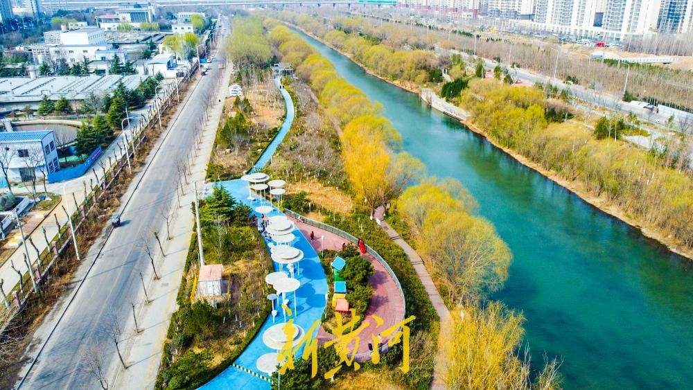 一年四季 泉在济南丨万条垂下绿丝绦 济南小清河尽染春意浓