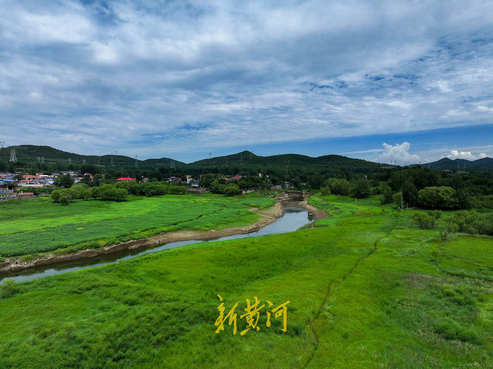 綠意蔥蘢！雨后泉城綠水青山展新顏