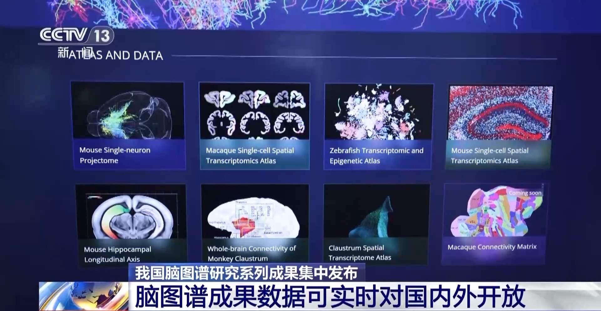 我国脑图谱研究系列成果集中发布 珍贵数据供国内外学者研究