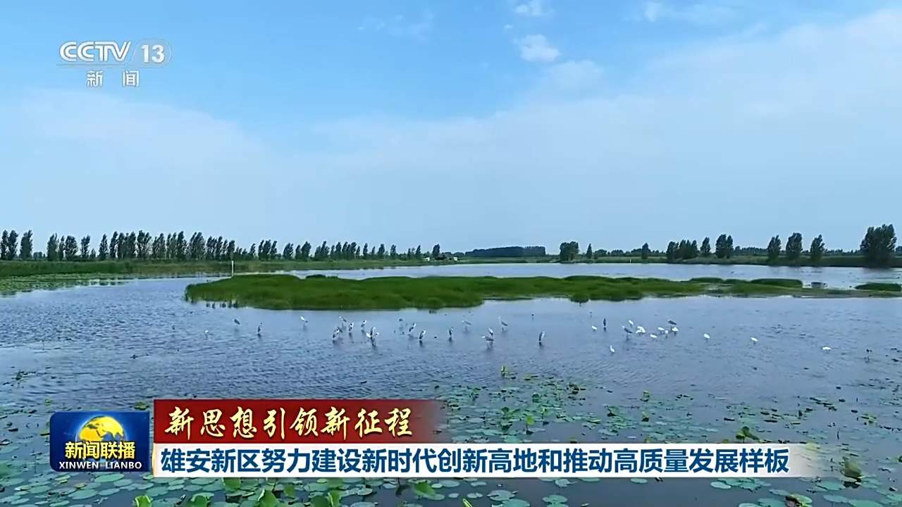 新思想引领新征程丨雄安新区努力建设新时代创新高地和推动高质量发展样板