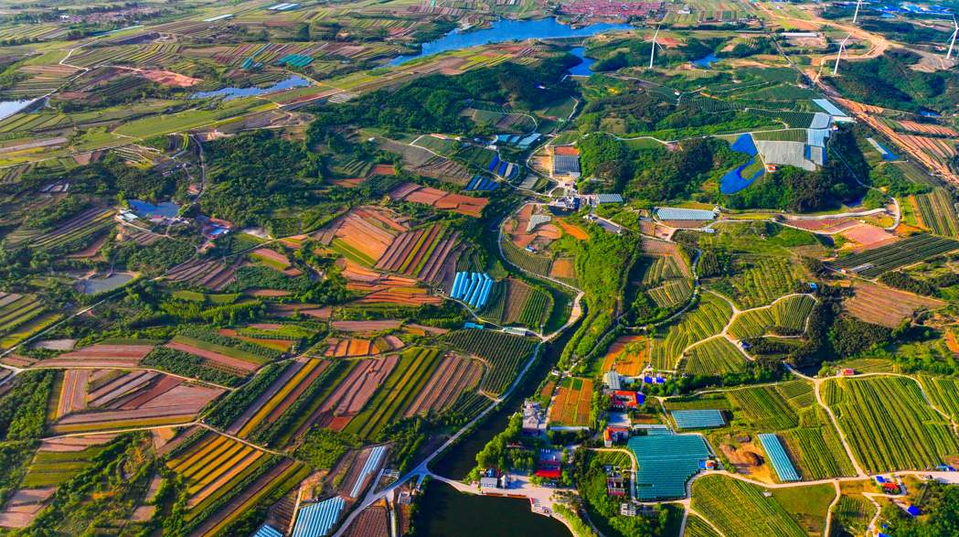 片区里，春光好！山东蹚出片区化推进乡村振兴有效路径