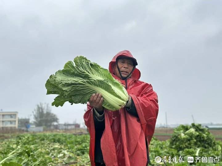 进店就送白菜？济南一书店老板买1万多斤白菜送书友