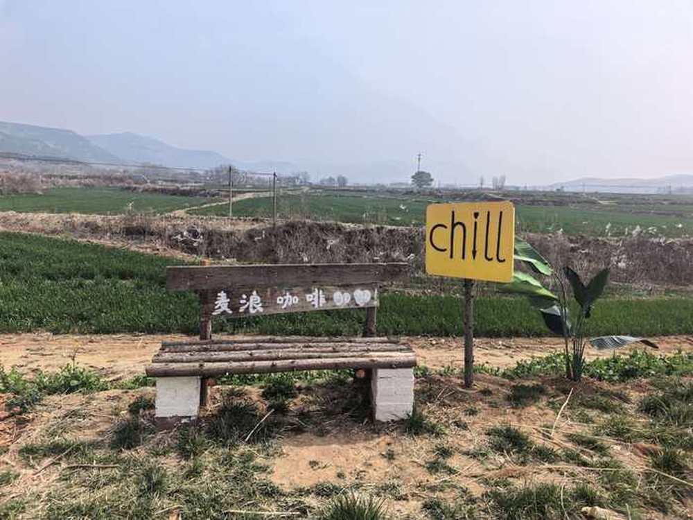 麦田里的咖啡香：济南90后情侣开了一家“村咖”，把诗和远方搬进村庄