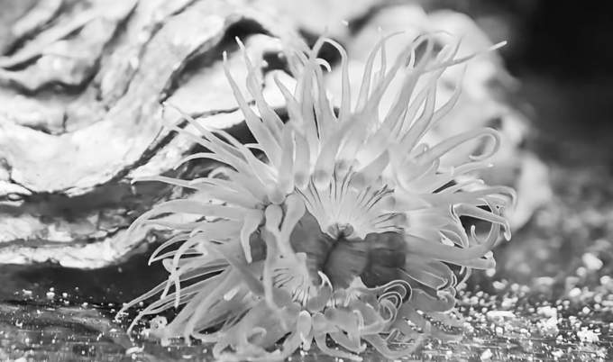 年轻人的新流行：去超市生鲜区“赶海”