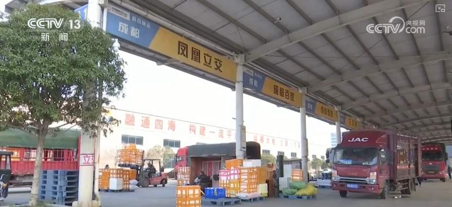 百姓“菜篮子”价优物丰四季安然 多举措有效保障春节供应