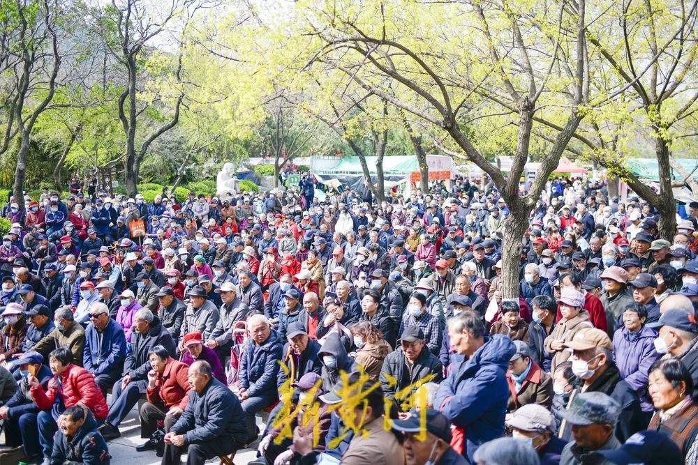 传统戏曲唱响三月三庙会 千佛山景区送上文化大餐