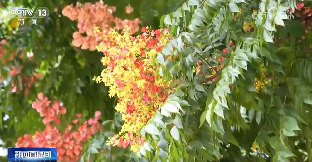 打造“赏秋游”新体验 “秋日经济”带火文旅消费