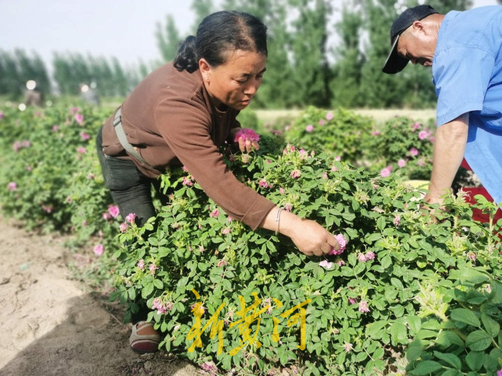 懂得留守老人种地的苦，女伐木工当起村民们的“土地管家”