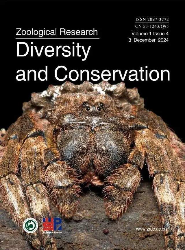 稻香、龙拳、星晴……新种蜘蛛“歌单式”命名,“你的歌迷已经是科学家了!”