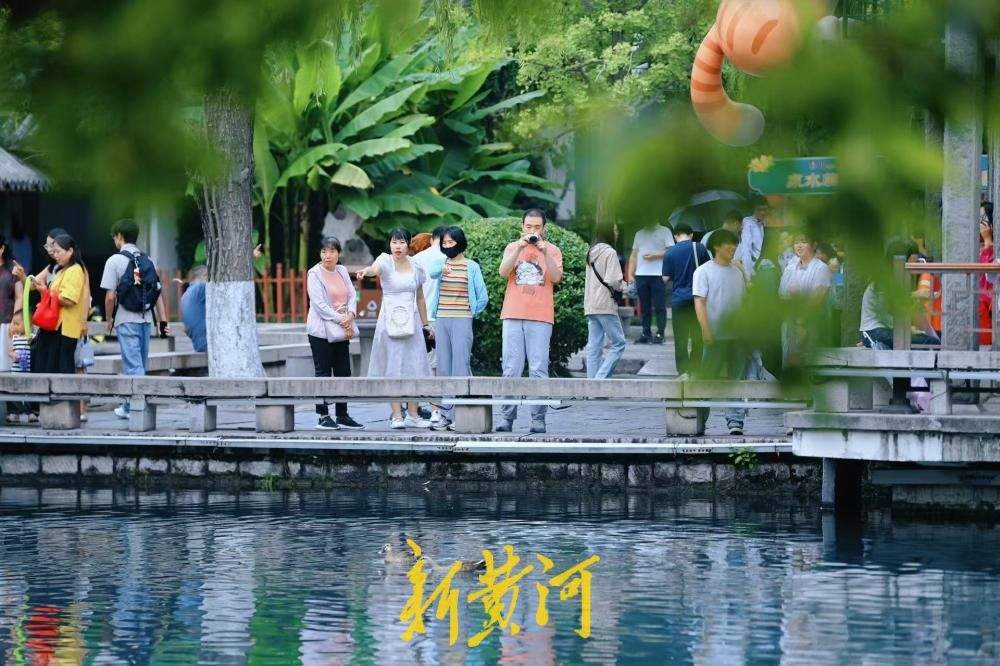 中秋到济南五龙潭，看锦鲤畅游清泉