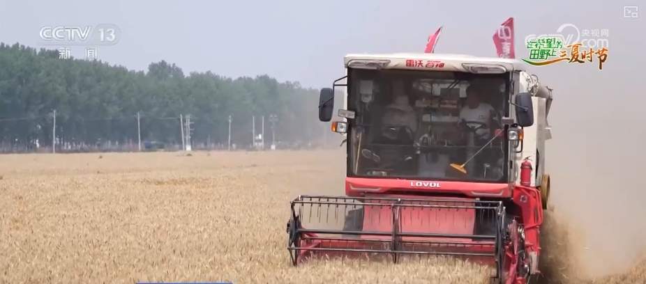 “九成熟，十成收；十成熟，一成丢” 