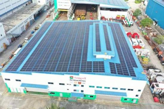 双百亿大单里,窥见鲁企出海新范式