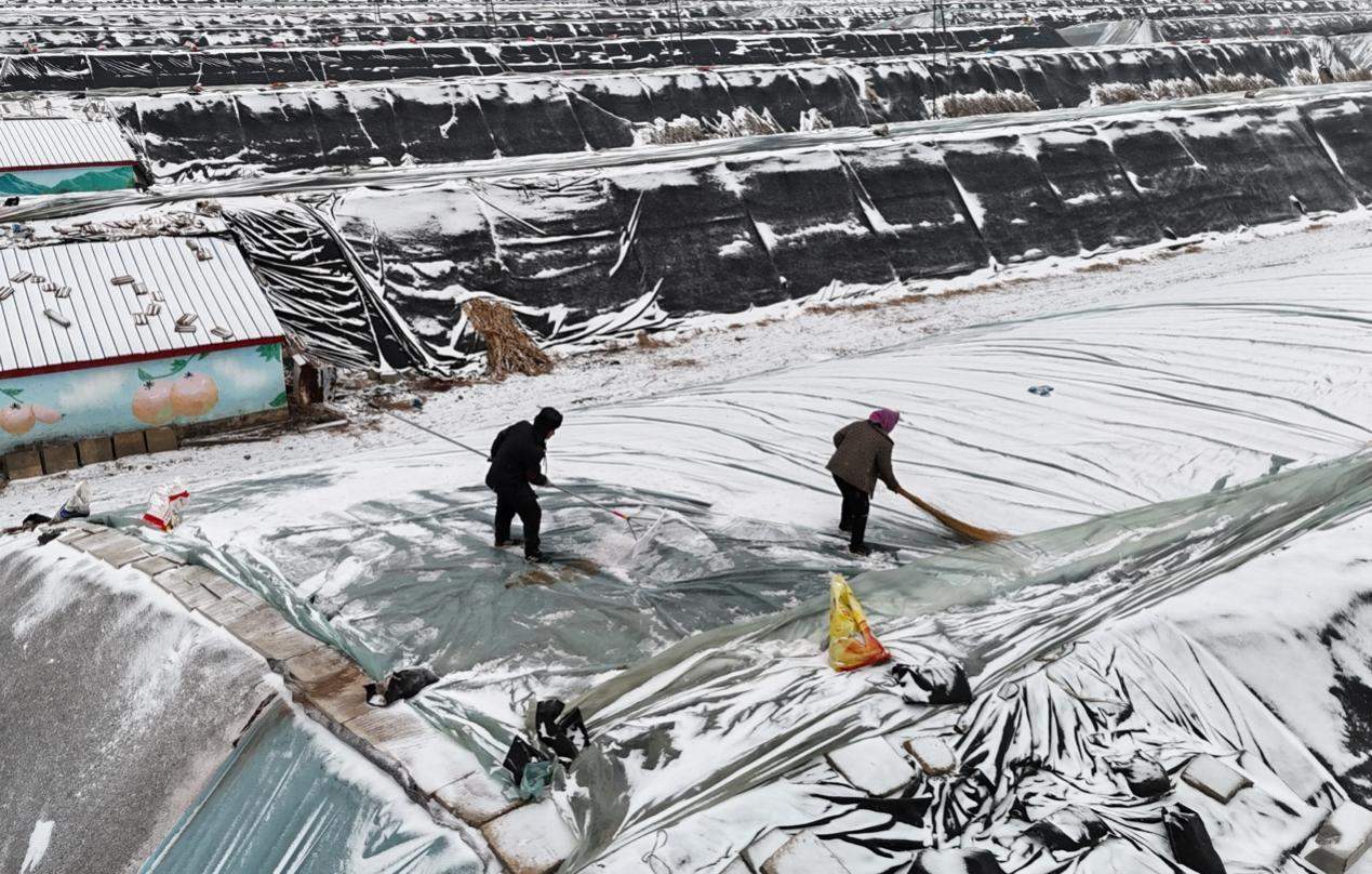 本轮寒潮何时结束?气象专家给出预判