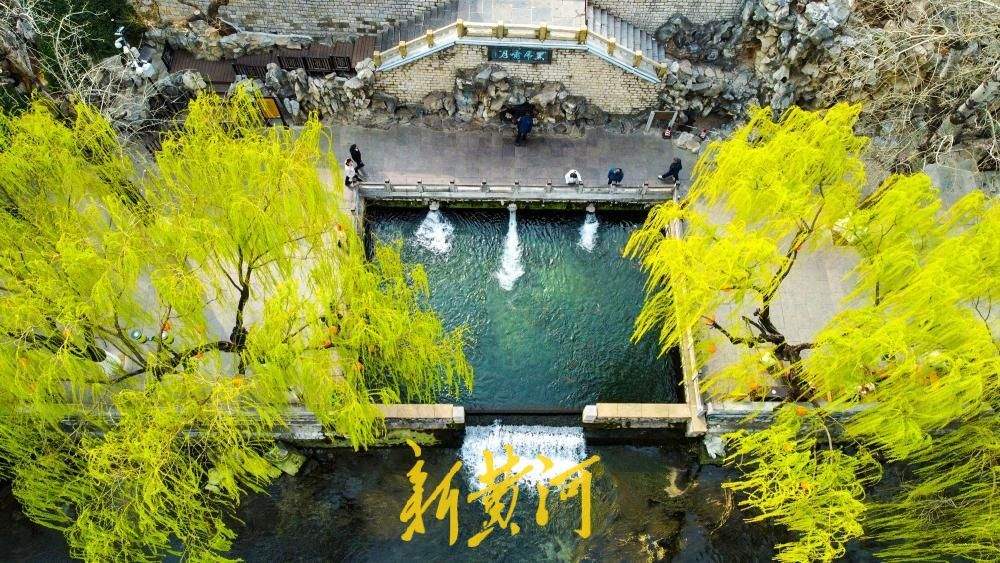 春雨润泉城，环城公园披绿绘就“绿丝带”画卷