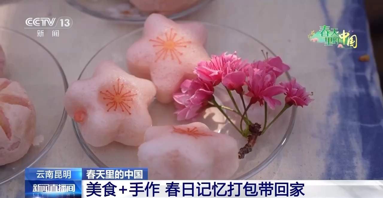 各地春日赏花有哪些好去处？请看这份赏花攻略