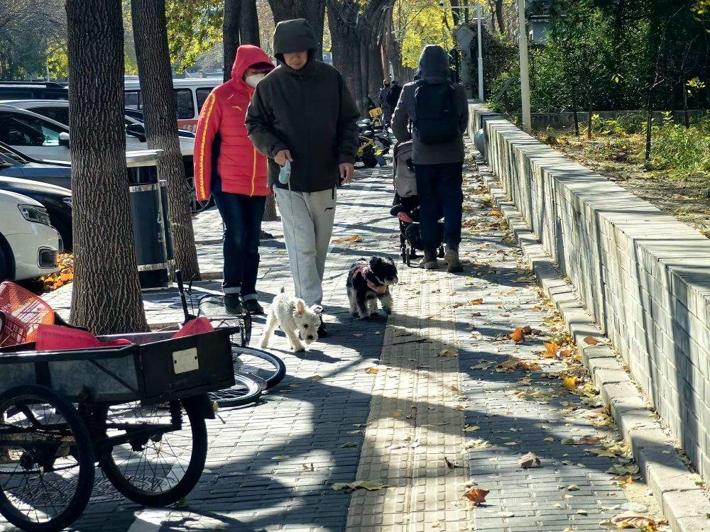 寒潮来袭、大风呼啸，如何应对？