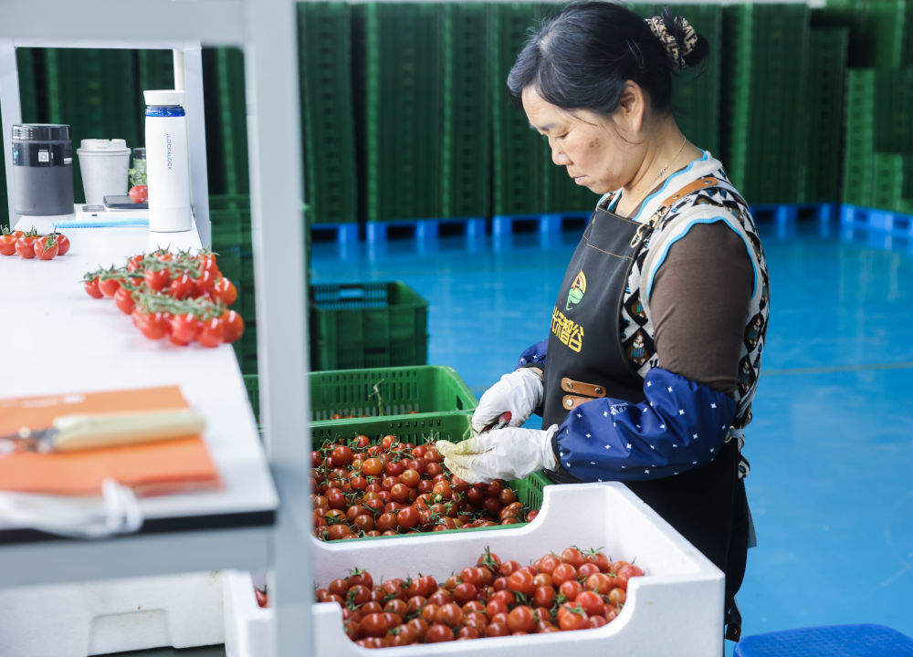 经济大省更加有力有效挑起大梁