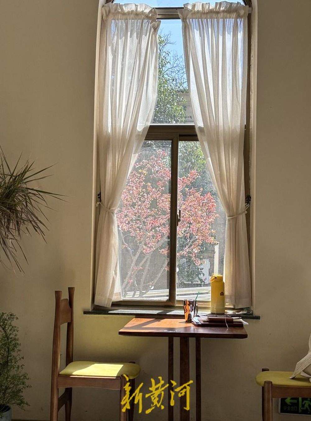 炎炎夏日催热济南“清凉经济” 激发夏日消费新活力