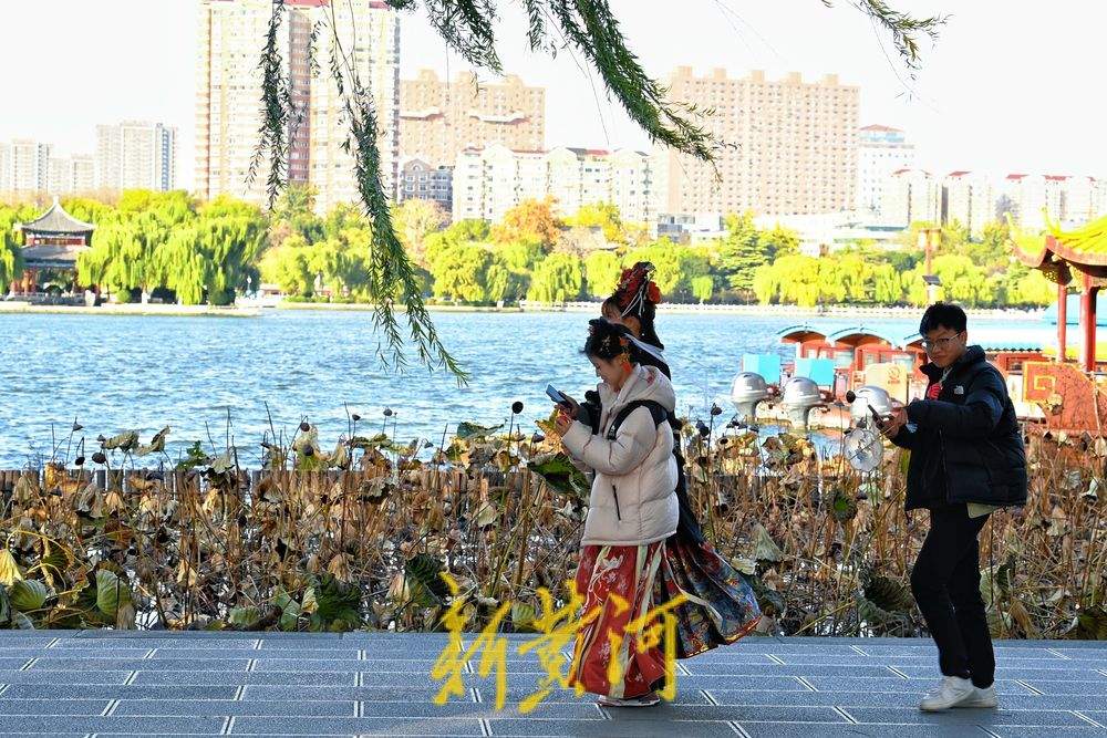 济南迎寒潮天气 大明湖畔游客寒风中赏残荷韵味足