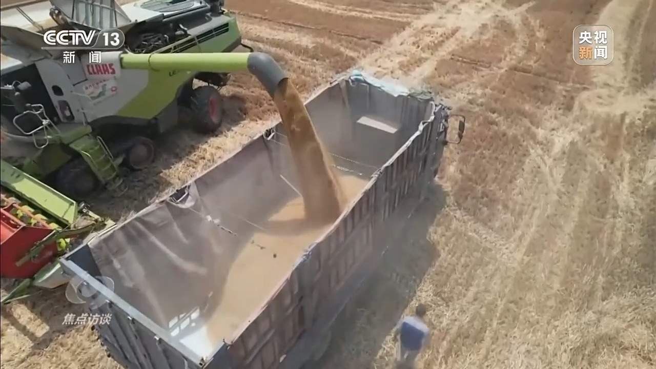 从抗旱到抢收 解读粮食增产背后的“密码”